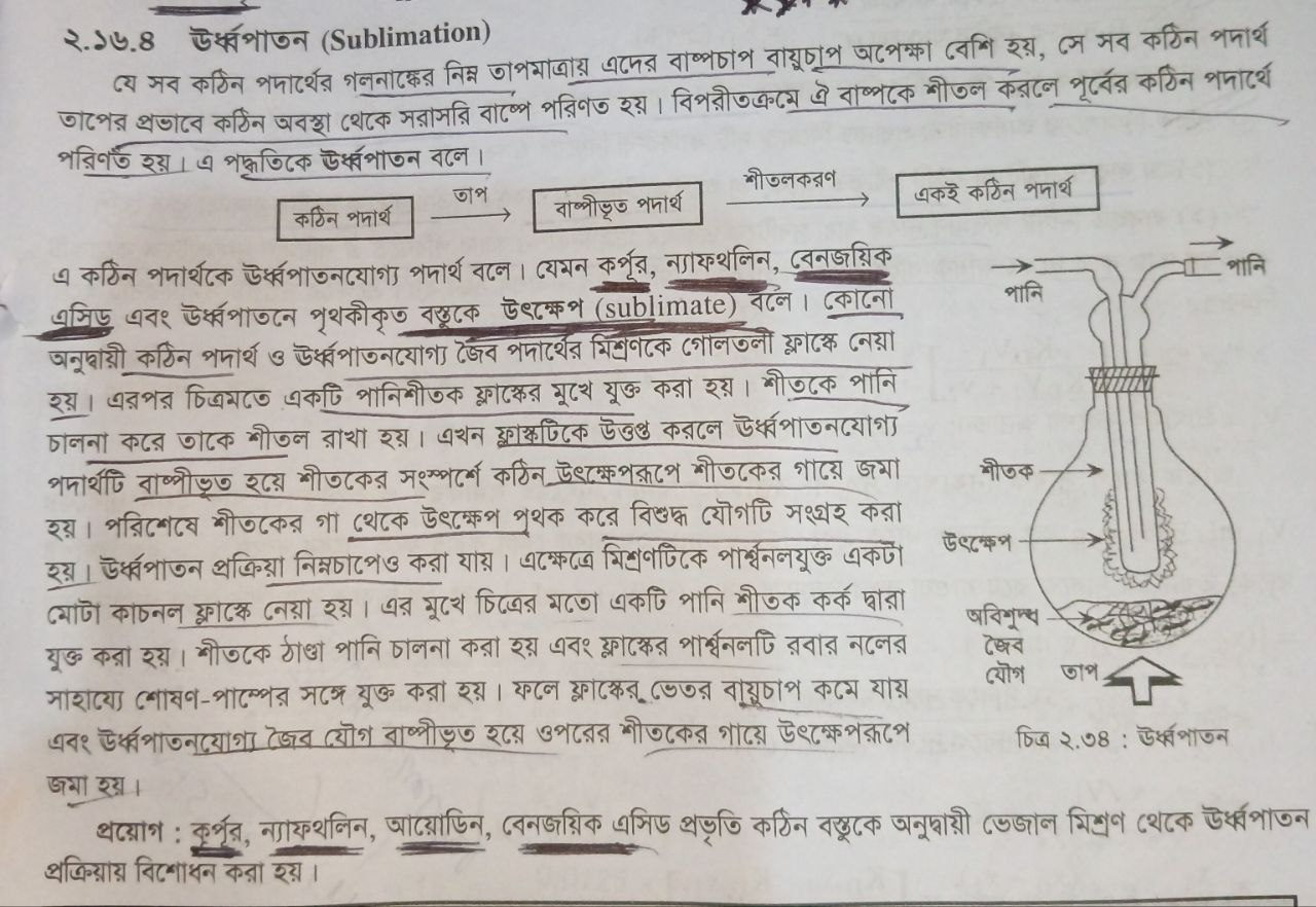 Rus yosh jinsiy aloqa partiyasi Osiyo katta kokraklari