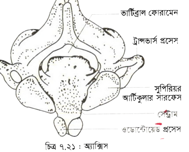 Құбыжықтар мен мутанттармен секс 3D Тырнақтарымен жыныс мүшесін сипайды
