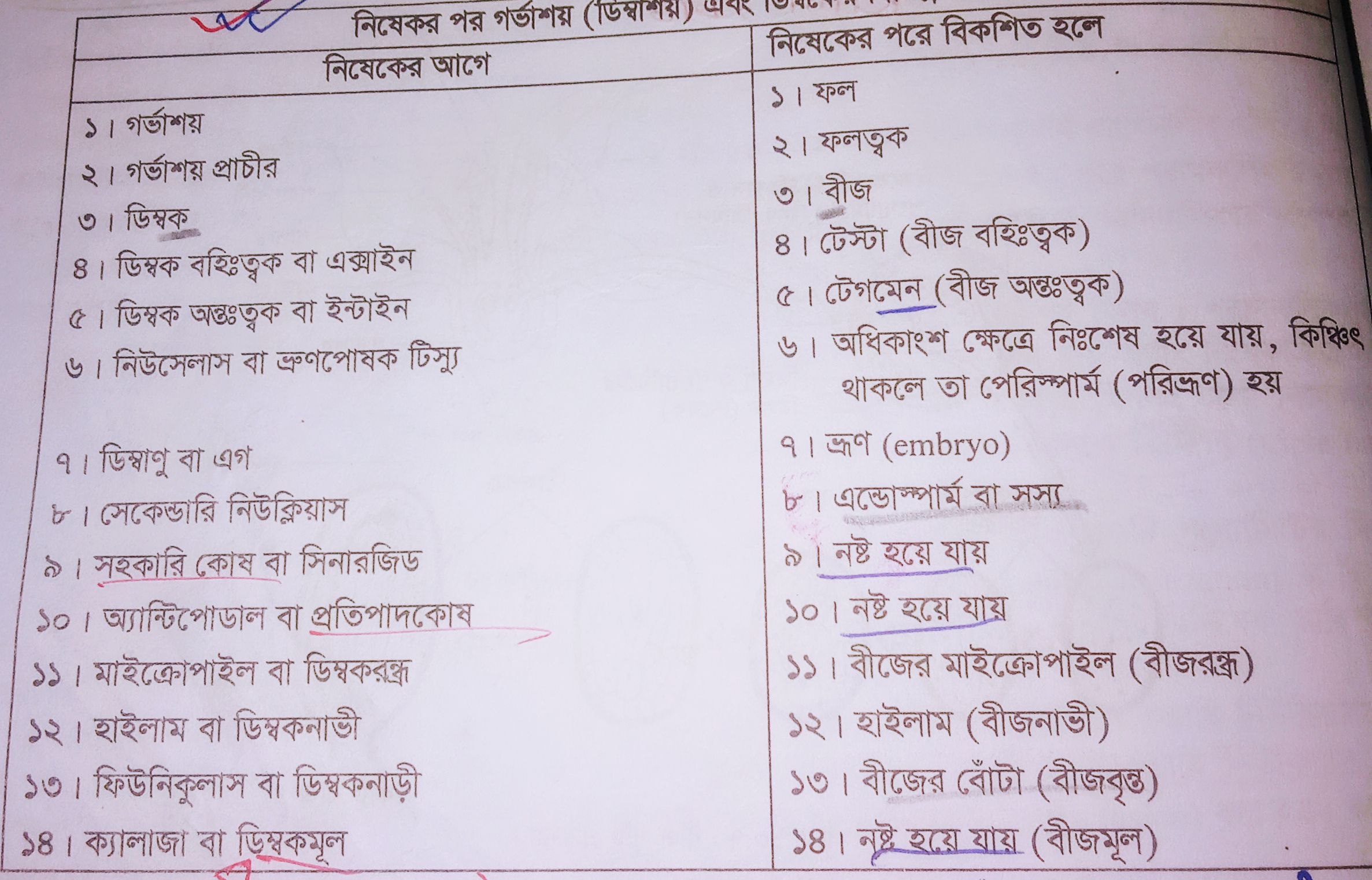 Chiroyli transseksuallarning porno videolarini tomosha qiling