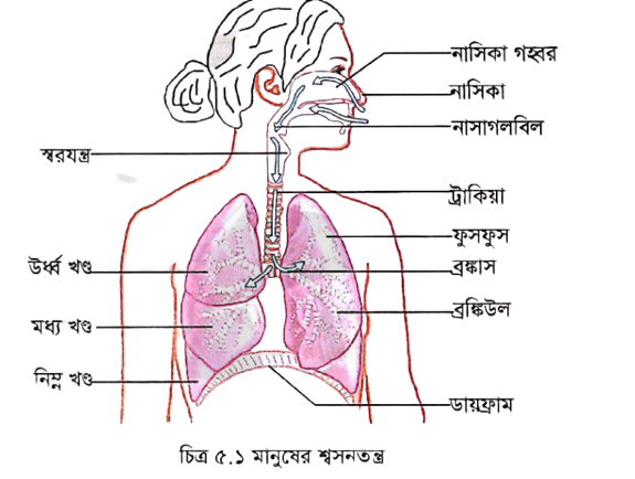 Dogistondan xususiy porno videolar onlayn