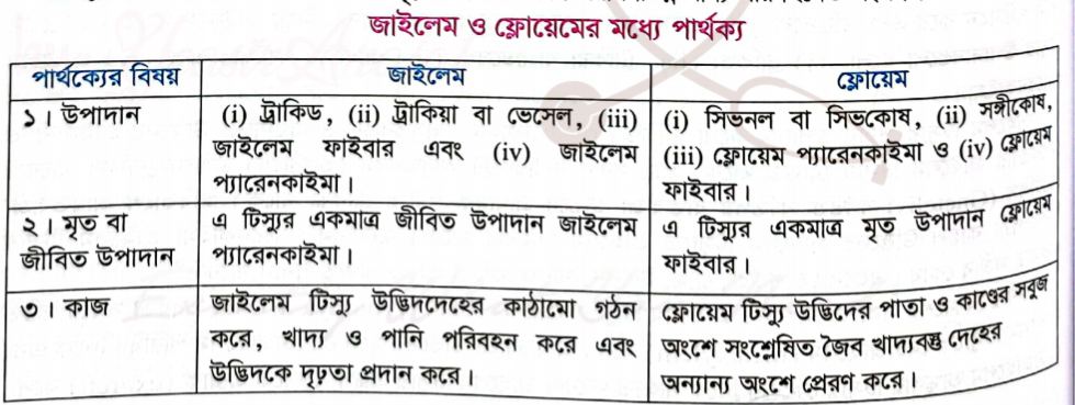 Preeti Zinta bilan hind porno